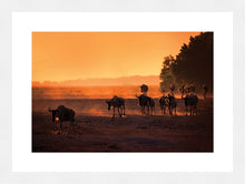 Load image into Gallery viewer, Wildebeest Migration