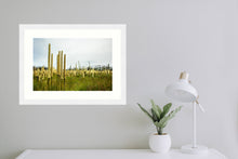 Load image into Gallery viewer, Grass Trees in landscape
