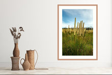 Load image into Gallery viewer, Grass Trees in portrait
