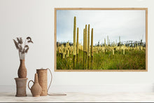 Load image into Gallery viewer, Grass Trees - Landscape
