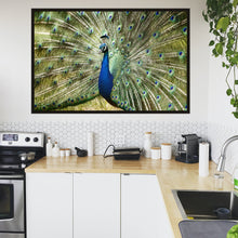 Load image into Gallery viewer, Peacock in landscape
