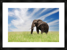 Load image into Gallery viewer, Serengeti Bull Elephant
