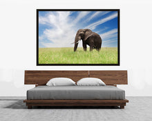 Load image into Gallery viewer, Serengeti Bull Elephant
