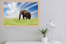 Load image into Gallery viewer, Serengeti Bull Elephant
