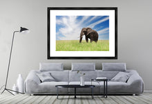 Load image into Gallery viewer, Serengeti Bull Elephant
