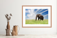 Load image into Gallery viewer, Serengeti Bull Elephant
