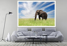 Load image into Gallery viewer, Serengeti Bull Elephant
