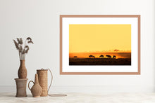 Load image into Gallery viewer, Wildebeest in Amboseli
