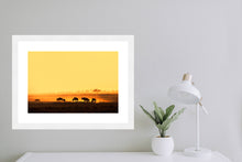 Load image into Gallery viewer, Wildebeest in Amboseli
