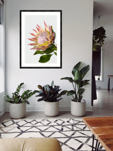 Load image into Gallery viewer, King Protea
