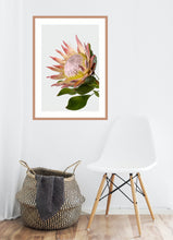 Load image into Gallery viewer, King Protea
