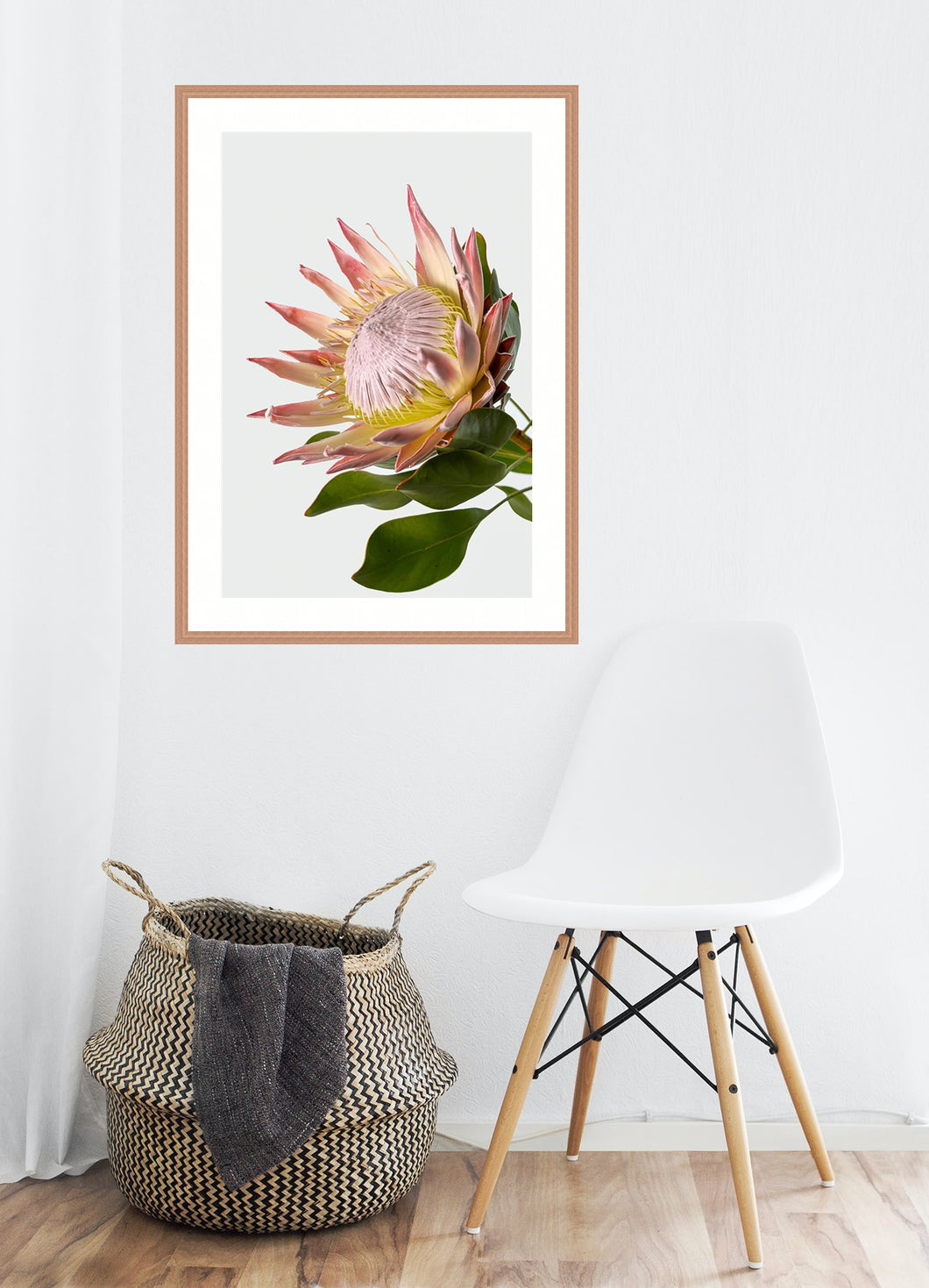 King Protea