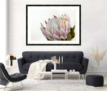 Load image into Gallery viewer, Pink Protea
