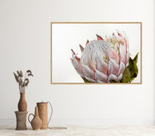 Load image into Gallery viewer, Pink Protea
