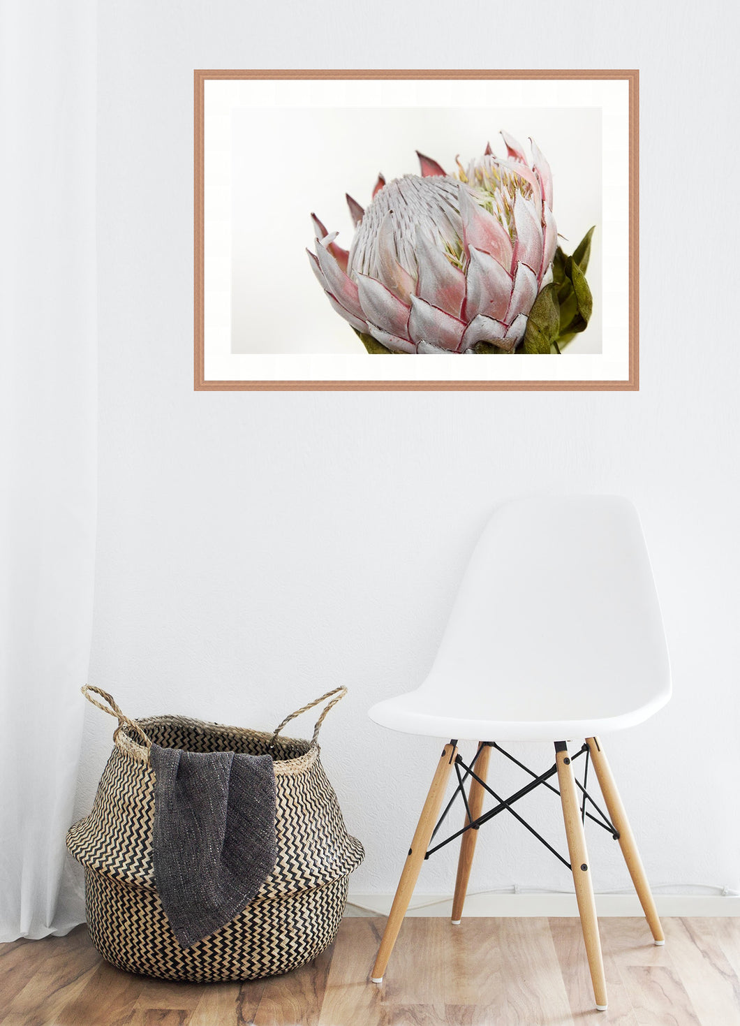 Pink Protea