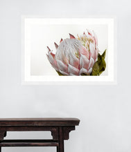 Load image into Gallery viewer, Pink Protea
