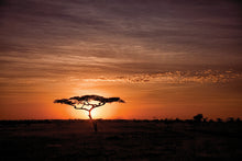 Load image into Gallery viewer, Classic Serengeti Sunset
