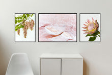 Load image into Gallery viewer, Collection 1 - Pink Robinia, Pink Salt &amp; King Protea
