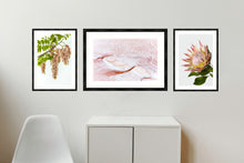 Load image into Gallery viewer, Collection 1 - Pink Robinia, Pink Salt and King Protea
