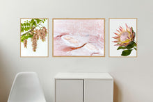 Load image into Gallery viewer, Collection 1 - Pink Robinia, Pink Salt &amp; King Protea
