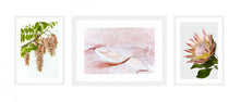 Load image into Gallery viewer, Collection 1 - Pink Robinia, Pink Salt &amp; King Protea
