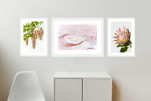 Load image into Gallery viewer, Collection 1 - Pink Robinia, Pink Salt and King Protea
