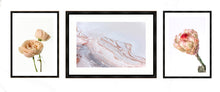 Load image into Gallery viewer, Collection 2 - David Austin Rose, Salty Shapes &amp; Protea Neriflora
