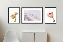 Load image into Gallery viewer, Collection 2 - David Austin Rose, Salty Shapes &amp; Protea Neriflora
