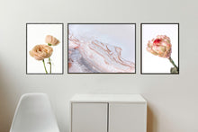 Load image into Gallery viewer, Collection 2 - David Austin Rose, Salty Shapes and Protea Neriflora
