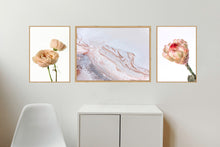 Load image into Gallery viewer, Collection 2 - David Austin Rose, Salty Shapes and Protea Neriflora
