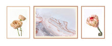 Load image into Gallery viewer, Collection 2 - David Austin Rose, Salty Shapes &amp; Protea Neriflora
