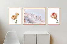 Load image into Gallery viewer, Collection 2 - David Austin Rose, Salty Shapes &amp; Protea Neriflora
