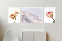 Load image into Gallery viewer, Collection 2 - David Austin Rose, Salty Shapes and Protea Neriflora
