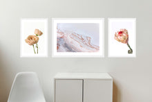 Load image into Gallery viewer, Collection 2 - David Austin Rose, Salty Shapes &amp; Protea Neriflora
