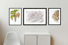 Load image into Gallery viewer, Collection 3 - Pink Robinia, White Abstract &amp; Blushing Bride Protea
