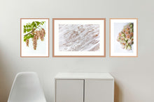 Load image into Gallery viewer, Collection 3 - Pink Robinia, White Abstract &amp; Blushing Bride Protea
