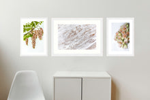 Load image into Gallery viewer, Collection 3 - Pink Robinia, White Abstract &amp; Blushing Bride Protea
