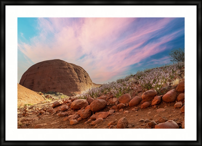 Flowers in the desert