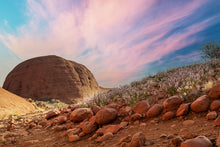 Load image into Gallery viewer, Flowers in the desert
