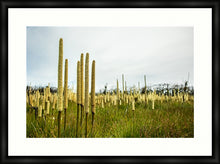 Load image into Gallery viewer, Grass Trees in landscape
