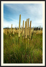 Load image into Gallery viewer, Grass Trees in portrait
