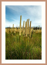 Load image into Gallery viewer, Grass Trees in portrait
