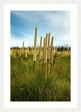 Load image into Gallery viewer, Grass Trees in portrait
