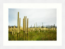 Load image into Gallery viewer, Grass Trees in landscape
