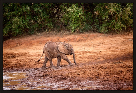 Mud Bath