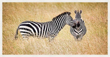Load image into Gallery viewer, Mumma Mia in colour
