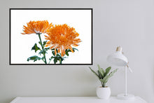 Load image into Gallery viewer, Orange Dahlia
