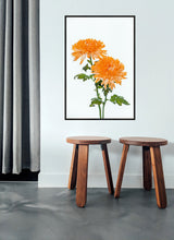 Load image into Gallery viewer, Orange Dahlia in portrait
