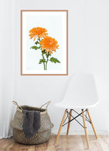 Load image into Gallery viewer, Orange Dahlia in portrait
