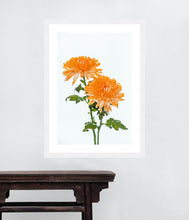 Load image into Gallery viewer, Orange Dahlia in portrait
